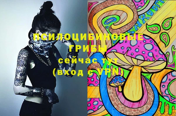 бутират Заводоуковск